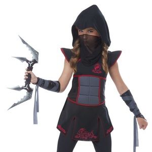 Fearless ninja costume